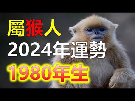 屬猴 五行|【生肖猴五行命運】生肖屬猴五行屬性的人性格命運 